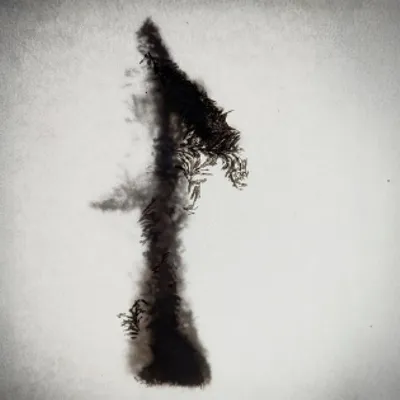 WHISPERS & ECHOES #13: VLMV