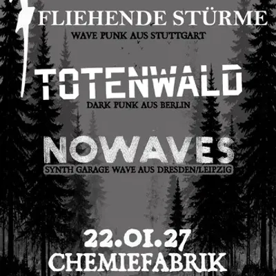 FLIEHENDE STÜRME | NOWAVES | TOTENWALD